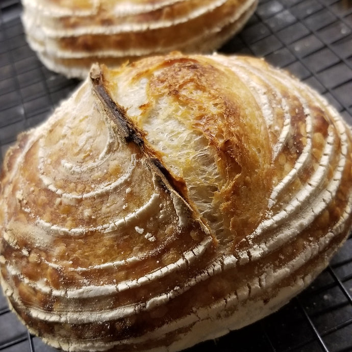 Sourdough Boule