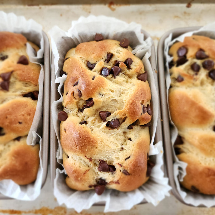 Gluten-Free Babka Style bread